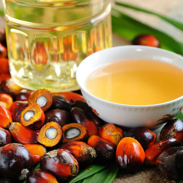 Benefits of Using Sustainable Palm Oil | What You Should Know